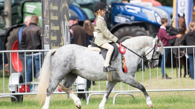 Overall performance champion Sunstar's Cindy met Anna Van Munster.