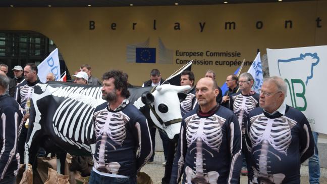 De boeren van EMB voelen zich ‘tot op het bot gestript’, wat ze met een symbolische actie voor de gebouwen van de EU-commissie kracht hebben bijgezet.