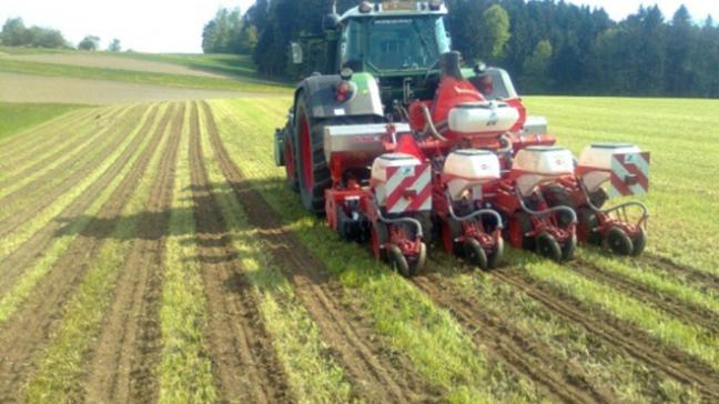 Strip-till in bestaande grasmat