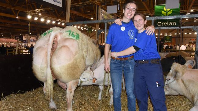 Echte vriendschap tijdens de verzorging van dieren op de expo van het Belgisch Witblauw vee.