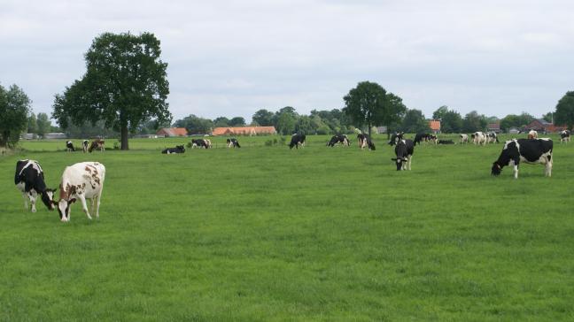 Landbouwers moeten beseffen dat zij juridisch als handelaar kunnen  beschouwd worden en dat zij snel en schriftelijk moeten reageren op elke handelstransactie of handelsdocument waarmee zij het niet eens zijn.