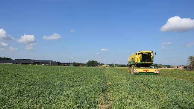 Vooral de voorjaarsteelten hadden te lijden onder de droogte in 2017.