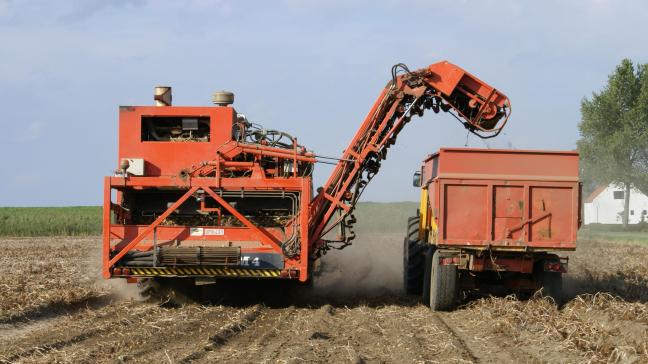 Volgens Hylkema heeft de aardappelsector veel te winnen bij toenemende samenwerking.