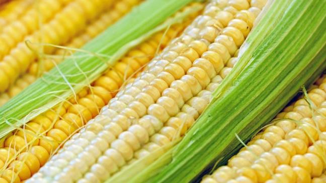Glucose kan onder meer uit mais en suikerriet worden gewonnen.