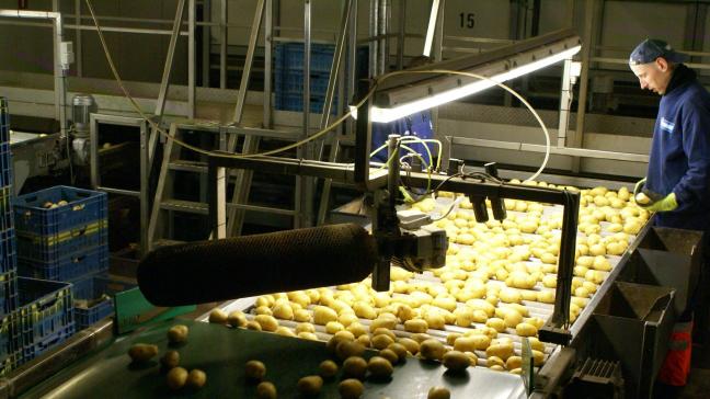 De Belgische aardappelsector is sterk van de export afhankelijk.