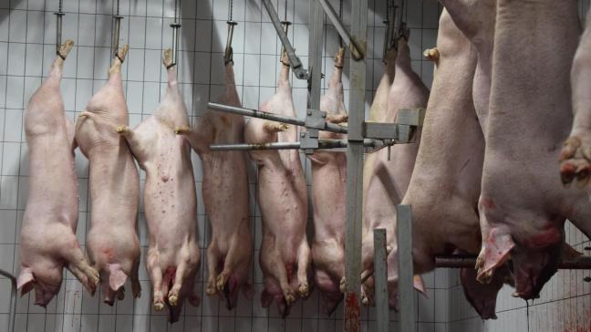 Sinds misstanden in slachthuizen zijn vastgesteld, ligt op de werking van de FAVV een vergrootglas.