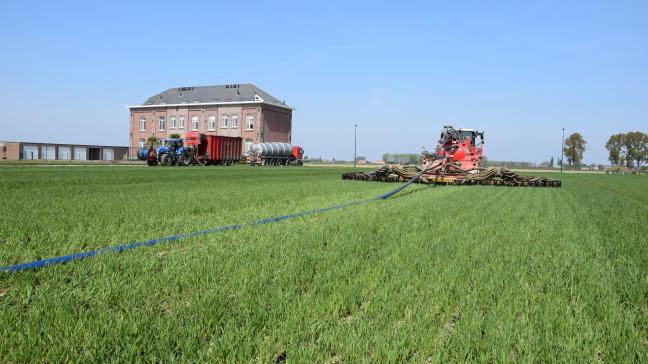 De sleepslangtrike laat nauwelijks sporen achter in de jonge tarwe. Op de achtergrond de pompwagen en de  vrachtwagen die de mest komt brengen.