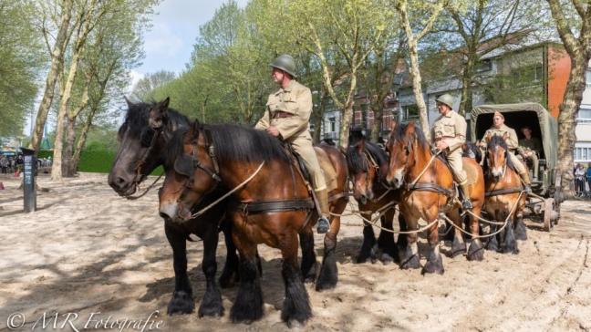 Zesspan trekpaarden met Fouragère op de Landbouwprijskamp in Vilvoorde.