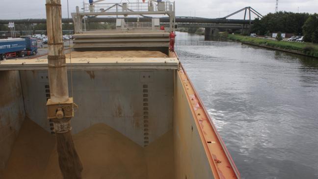 Ggo-vrije voeders brengen een belangrijke meerkost met zich mee, en ‘contaminatie’ via transport met niet ggo-vrij voeder is bijna onvermijdelijk.