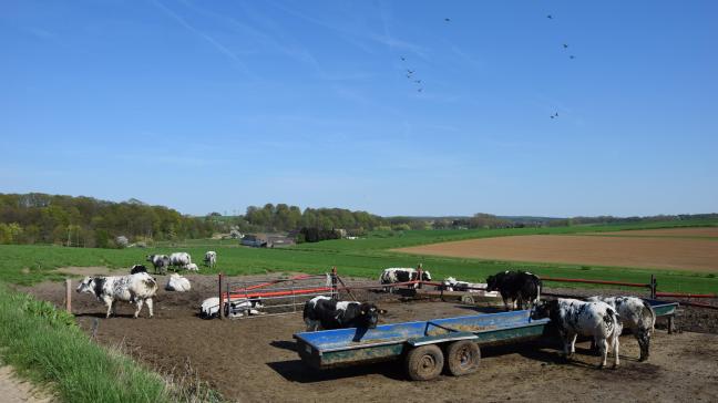 Een dergelijk hoge gemiddelde minimumtemperatuur kunnen we normaal maar één keer om de dertig jaar verwachten.