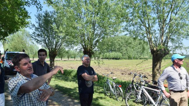 Landbouwer Claeys legt uit hoe zij het houtkantenbeheer aanpakken.