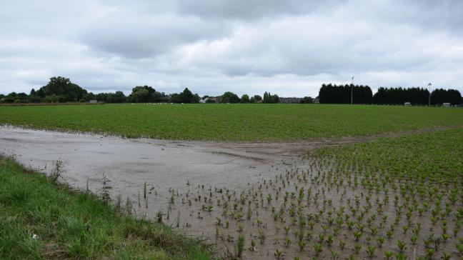 In het binnenland zal zware regenval leiden tot meer overstromingen.