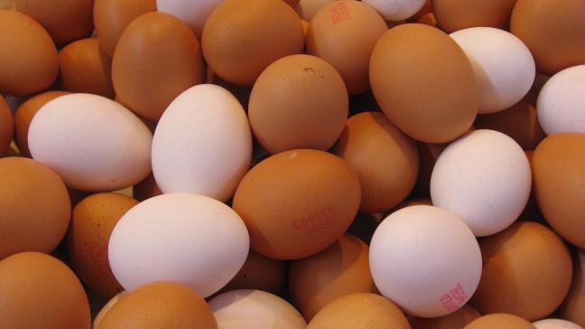 De Nederlandse pluimveehouderij wordt opnieuw opgeschrikt door de vondst van fipronil in eieren.