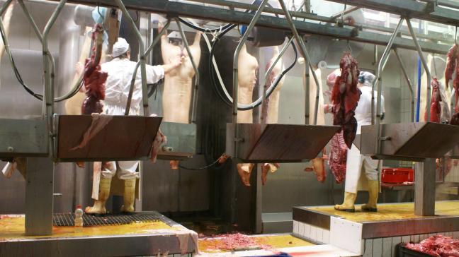 België werd vrij recent opgeschrikt door diverse ‘vleesschandalen’.