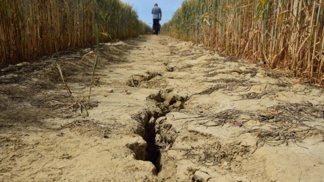 De Europese Commissie blijft de extreme droogte op de voet volgen omdat mogelijk nog extra maatregelen nodig zijn.