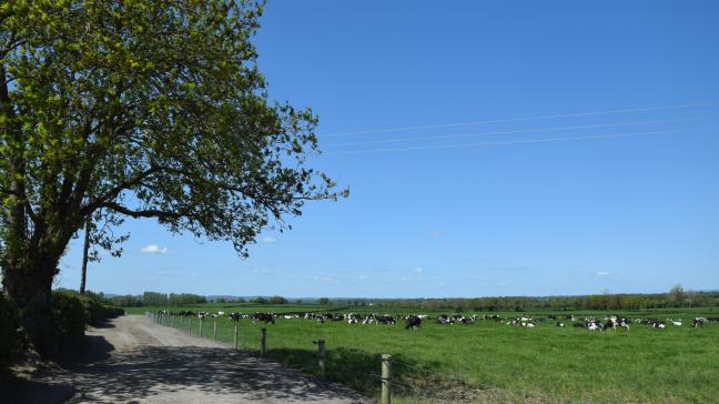 Het bedrijf investeerde recent fors in brede, grind-wandelpaden, een tunnel onder een openbare weg en watervoorziening.