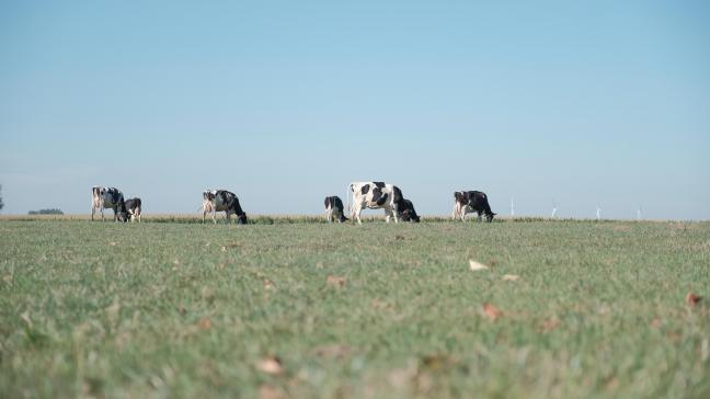 Dat dit een zeer warme en eerder droge maand was, valt ook op door de uitzonderlijk lage waarde voor de relatieve luchtvochtigheid.