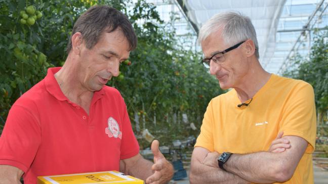 Bourgeois leerde dat de tomaten van Henk niet bio-gecertificeerd zijn omdat hij ze teelt op substraat. Voor de rest voldoet hij aan de voorwaarden van bio.