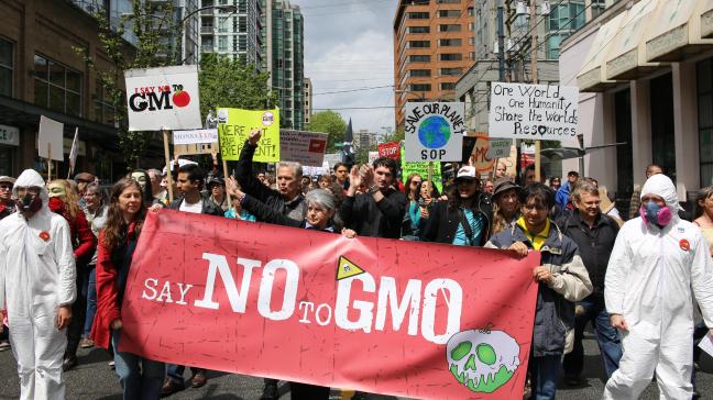 Jarenlang liep Lynas voorop bij demonstraties tegen Monsanto en de teelt van genetisch gemodificeerde gewassen.