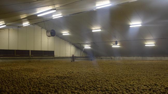 De aardappelen correct ventileren in de bewaring vraagt  dit jaar de nodige aandacht.