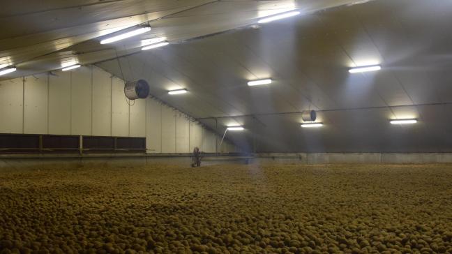 De aardappelen correct ventileren in de bewaring vraagt dit jaar de nodige aandacht.