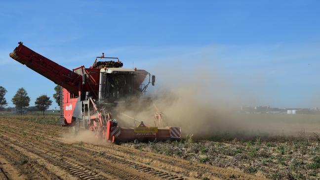 De aardappelteelt heeft met een ongekende droogte gekampt in 2018.