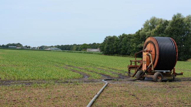 De afgelopen zomer werd de landbouw zwaar geraakt door aanhoudende droogte.