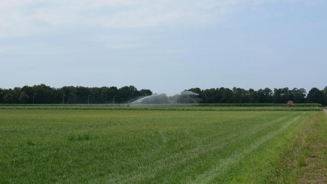 De voorschotten zijn voor veel landbouwers welkom, na een moeilijke en dure zomer.