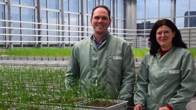 Steven Vandenabeele en Isabel Vercauteren zijn de roergangers bij Aphea.Bio, een jonge agrobiotech startup uit het Gentse.