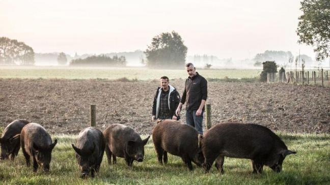 Slager Hendrik Dierendonck en varkenshouder Ruben Brabant bij hun Menapische varken.