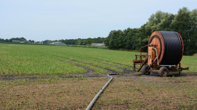 De droogte slaat al enkele jaren hard toe.