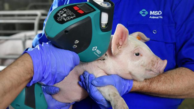 De MSD IDAL 3G Twin is een verdere ontwikkeling van een reeds bestaand naaldloos vaccinatieapparaat.