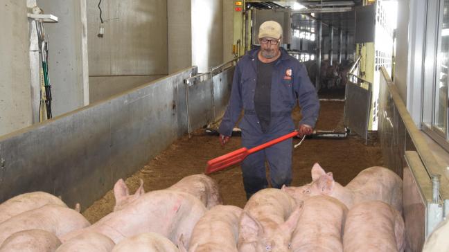 Het varkensslachthuis in Tielt wordt vervolgd vanwege vermeende wanpraktijken. Het slachthuis organiseerde na ophef die ontstond over illegaal geschoten beelden van Animal Rights een presentatie van het slachthuis aan pers en publiek, waarop deze foto is gemaakt.