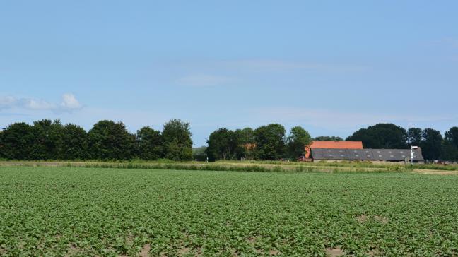 Buren hebben door een wijziging in het omgevingsdecreet minder mogelijkheden om in beroep te gaan.