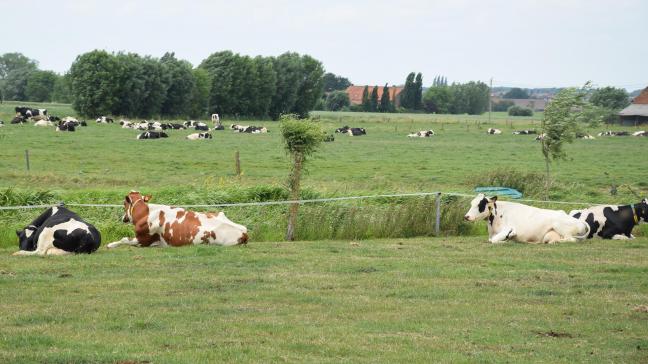 Vache Bleue heeft met de zuivel-coöperatieve vennootschappen van Allgäu afgesproken dat de bestaande melkleveringscontracten van Arla Foods worden overgedragen aan de nieuwe eigenaren.