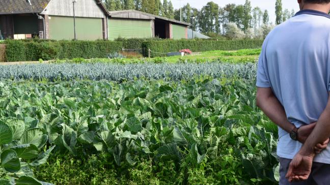 Guido kijkt uit over de uitgebreide moestuin  die hij mee verzorgt.