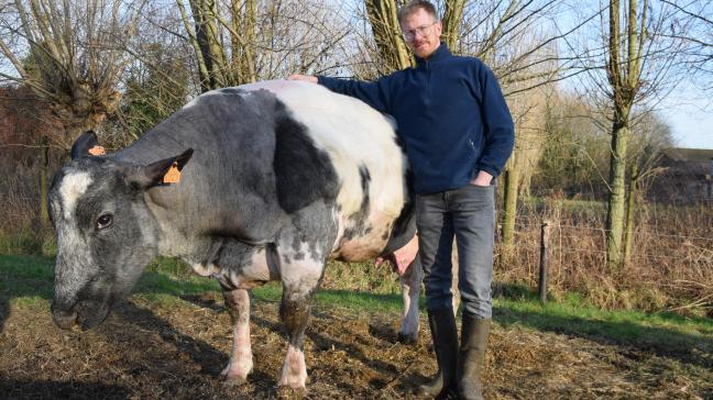 Witblauwproducent Dries Timmerman (38) uit Jabbeke is voorzitter van de nieuwe ProducentenOrganisatie VleesVee (POVV).