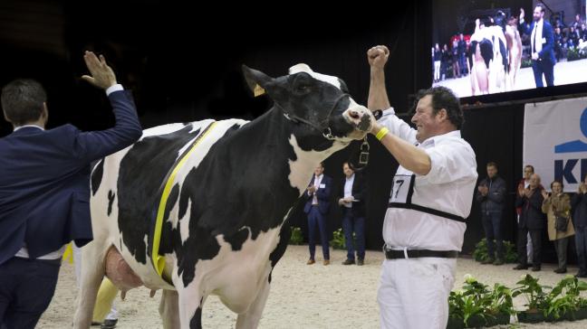 Ultiem moment voor Filip Maelfait uit Hulste: de jury duidt zijn koe, Lilac Hilltop Holsteins, aan als Algemeen Kampioene melkvee Agriflanders 2019.