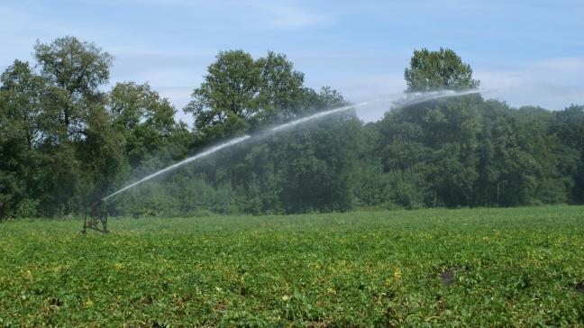 Nieuwe wettelijke voorschriften moeten het mogelijk maken dat landbouwers in de toekomst meer gebruik maken van gezuiverd afvalwater voor de irrigatie van hun gewassen.
