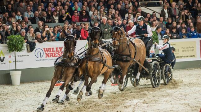 De paardensport komt op Flanders Expo in volle breedte aan bod.