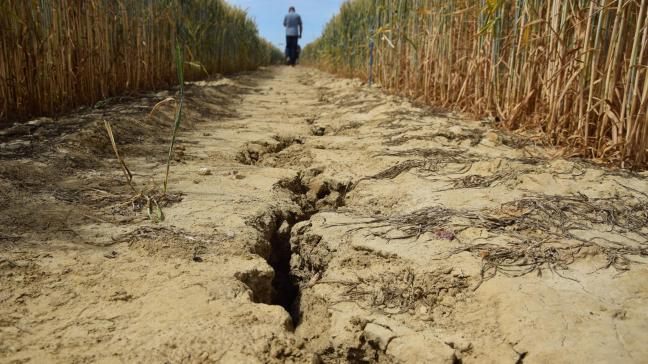 In de wandelgangen klinkt volgens Boelens dat de private sector zelf niet staat te springen om boeren te beschermen tegen klimatologische problemen.