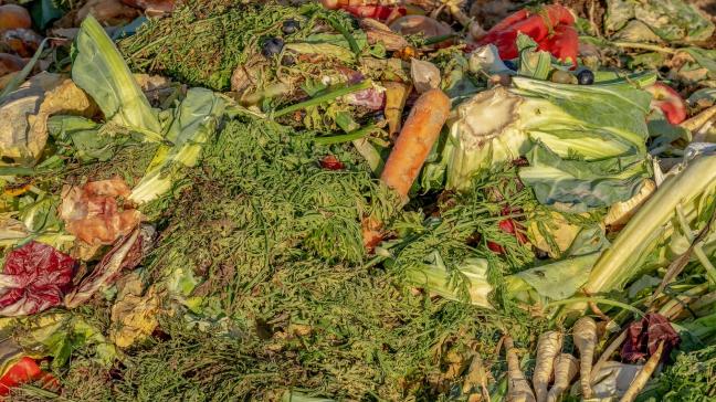 In Vlaanderen verliezen we jaarlijks gemiddeld zo’n 907.000 ton perfect eetbaar voedsel. Voldoende reden voor foodWIN om organisaties die straffe acties ondernemen tegen voedselverspilling in de bloemetjes te zetten.