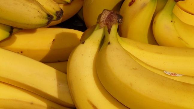 Voor naar schatting 30 miljoen mensen, vooral in Afrika en Azië, is de banaan een onmisbaar voedingsbestanddeel.
