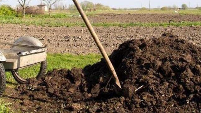 De biologische bewuste tuinier zal eerder kiezen voor organische meststoffen die wat langzamer werken, maar een meer gelijkmatige groei garanderen.