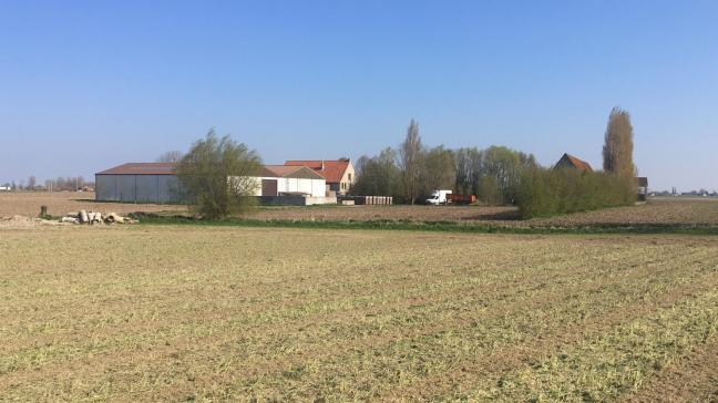 Colruyt Group kocht in augustus 2018 ‘Het Zilverleen’, een biogroentenbedrijf met 25 hectare land. Niels Trybou start er als nieuwe uitbater.