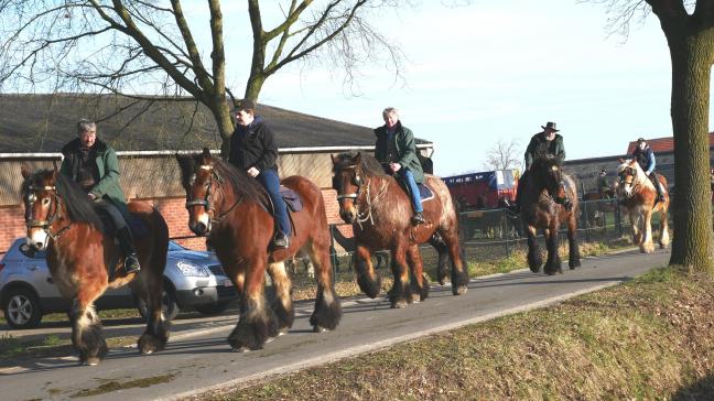 Winterdagtocht Aangespannen Trekpaard Theresa Van Dijck