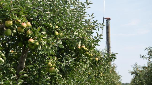 Voor fruittelers kan ijsheiligen niet snel genoeg komen.