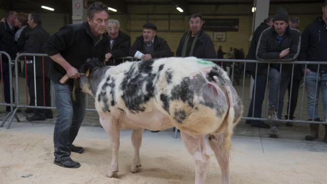 1ste prijs - Vaarzen van 6 tot 10 maanden. Nilfisk (Emblème X Hazard) à Marc Schuermans, Vissenaken