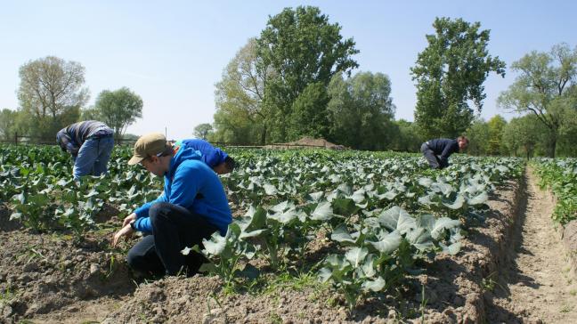 Sinds 2005 zijn we gegroeid van een 50-tal actieve zorgboerderijen naar 428 in 2018.