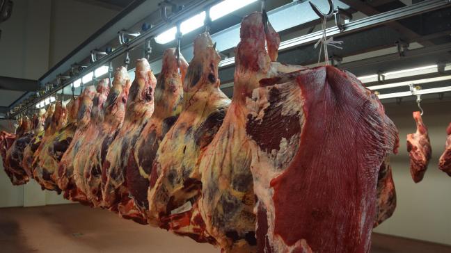 Het akkoord voorziet dat de Verenigde Staten tot 35.000 ton van de Europese importquota voor rundvlees mogen uitvoeren.